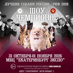 Всероссийская выставка собак впервые пройдёт в Екатеринбурге 