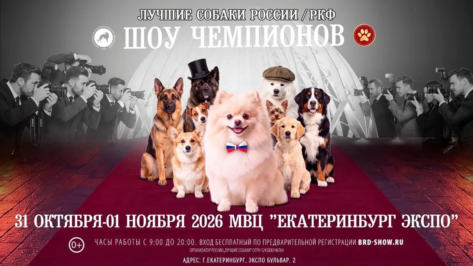 Выставка Лучших собаки РФ 29.10 – 31.10
