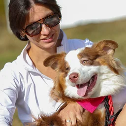 Выбрать любимца из приюта поможет новый сервис «Моспитомец» на mos.ru